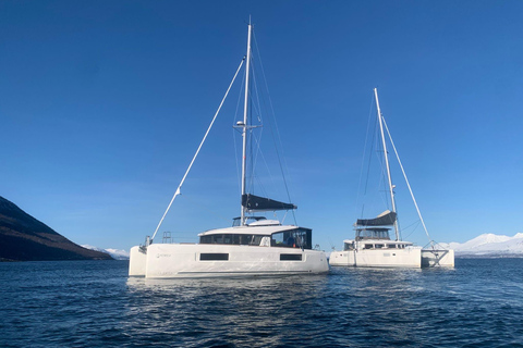 Tromsø: Authentic Fishing with Local Fisherman