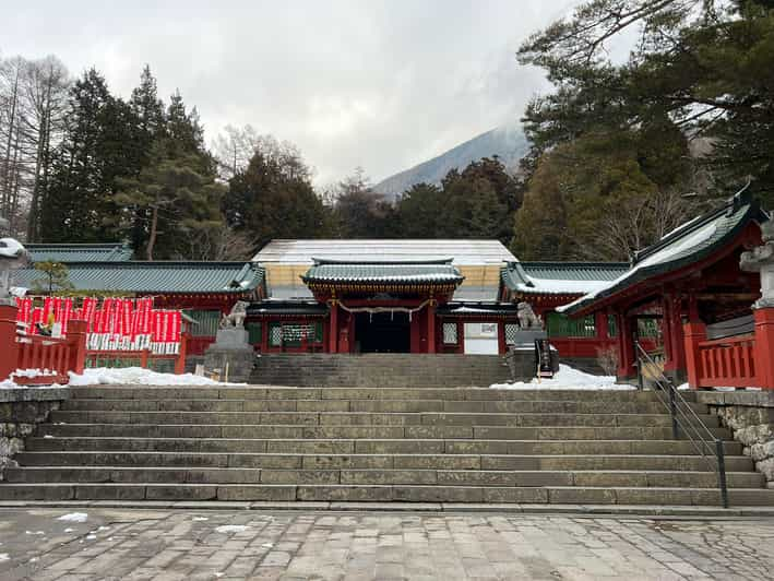 Tokyo Visite privée de luxe du parc des singes des neiges en Land