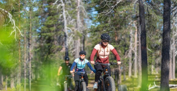 Saariselkä: Guided E-Fatbike Trip at Muotka