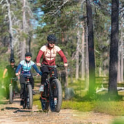 Saariselkä: Guided E-Fatbike Trip at Muotka