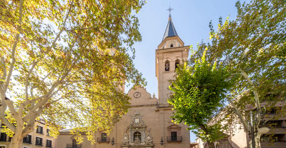 Granada: Ticket to the Treasury of the Virgin of the Sorrows