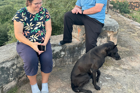 Delhi : excursion de 5 jours dans le Triangle d&#039;Or avec un guide germanophoneExcursion de 5 jours avec hébergement dans des hôtels 4 étoiles