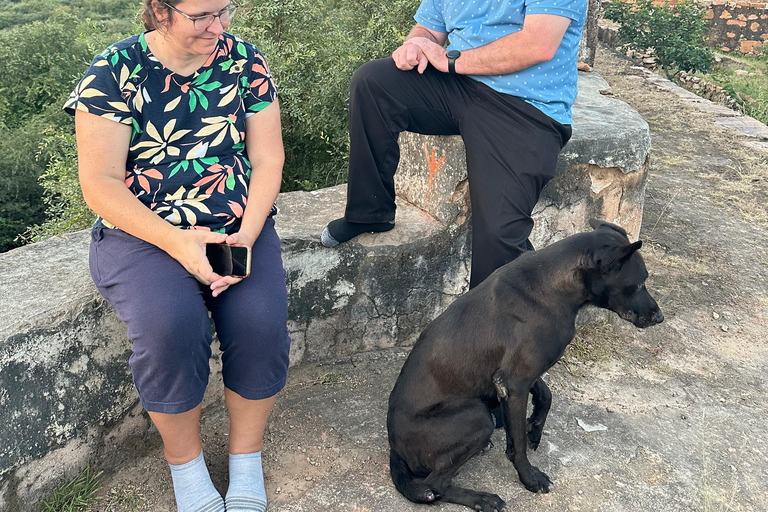 Delhi : excursion de 5 jours dans le Triangle d&#039;Or avec un guide germanophoneExcursion de 5 jours avec hébergement dans des hôtels 4 étoiles