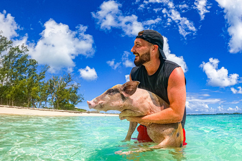 Nassau: Pigs Beach Trip by Boat with Swimming and Feeding