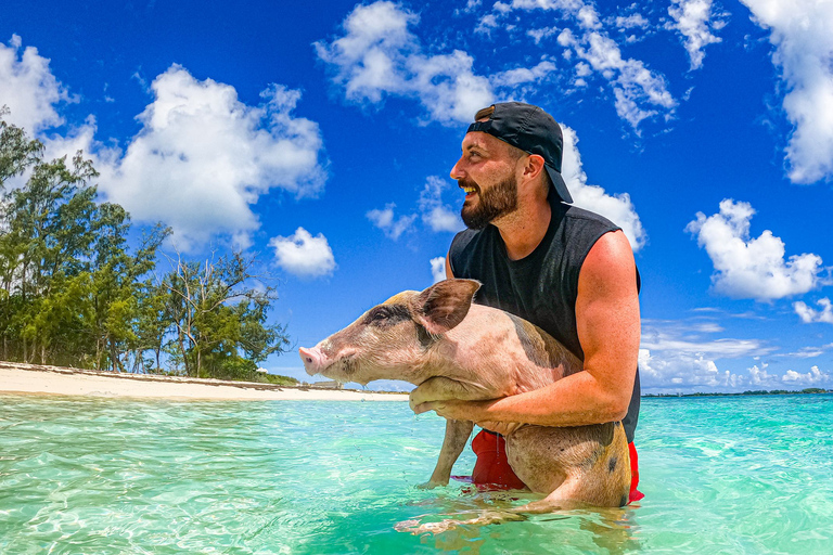 Nassau: Pigs Beach Trip by Boat with Swimming and Feeding