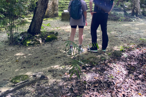 Bacalar: Calakmul Ruins Day Trip with a Stop In The Jungle