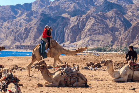 Sharm El Sheikh: Canyon, Blue Hole & Dahab Day Tour Blue Hole Explorer & Snorkeling Adventure
