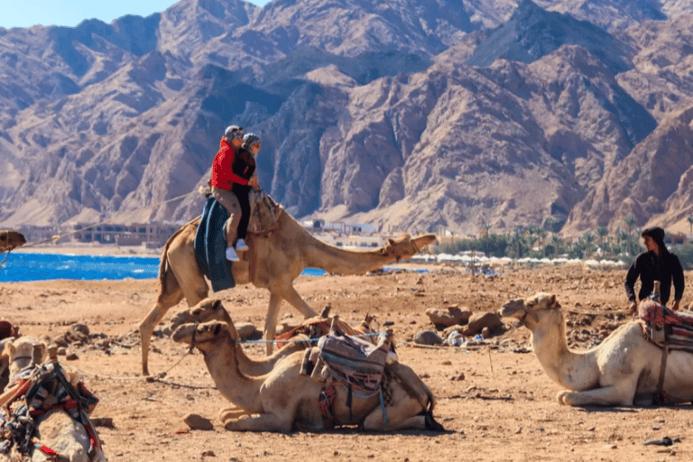 Sharm El Sheikh: Canyon, Blue Hole & Dahab Day Tour Blue Hole Explorer & Snorkeling Adventure