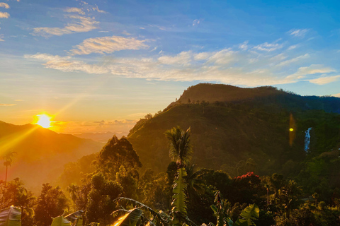 Guided Tours of Sri Lanka