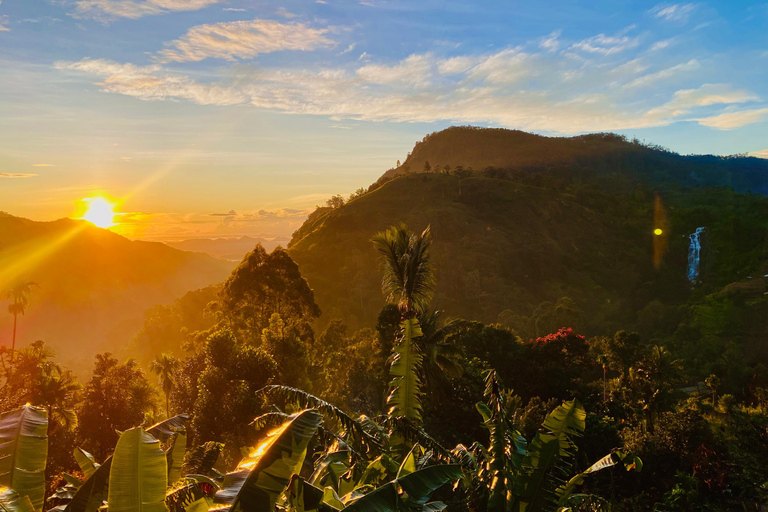 Guided Tours of Sri Lanka