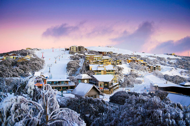 From Melbourne: Day Tour to Mt Buller with Snow Clothes