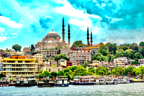 Tour guidato della Moschea Blu di Istanbul