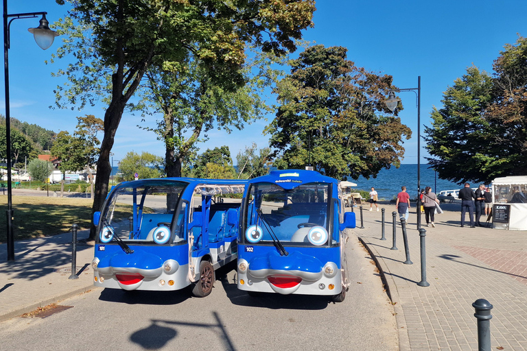 Gdansk:Private Guided City Tour Sightseeing by Golf Cart