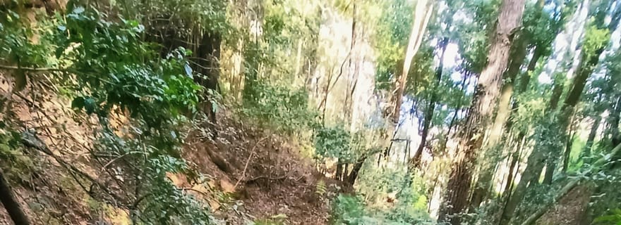 Barranquismo Anaga Tenerife