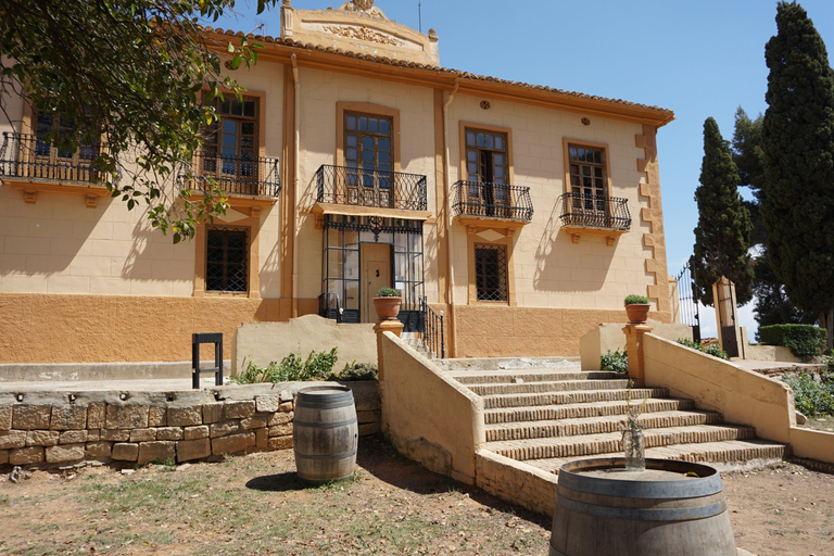 Valencia: Utiel-Requena Wine Tour with Tapas and Wines