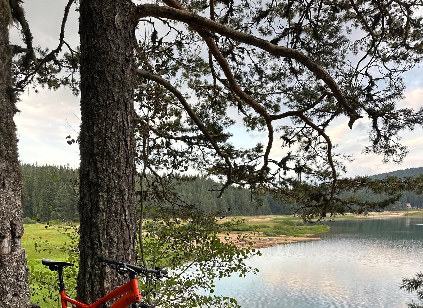Žabljak: Elcykelleje i Durmitor Nationalpark