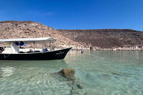 Espiritu Santo Island Tour with Sea Lion Snorkeling