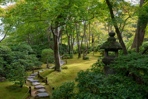 Kyoto: Kulinarischer Rundgang im Arashiyama Bambus-Wald