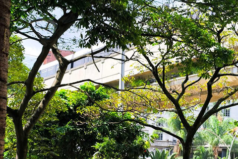 Medellín Through Time – City Sightseeing Tour | Subway, Metrocable, and Historic Center