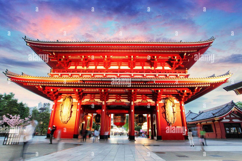Tokyo: Guided City Tour with English guide