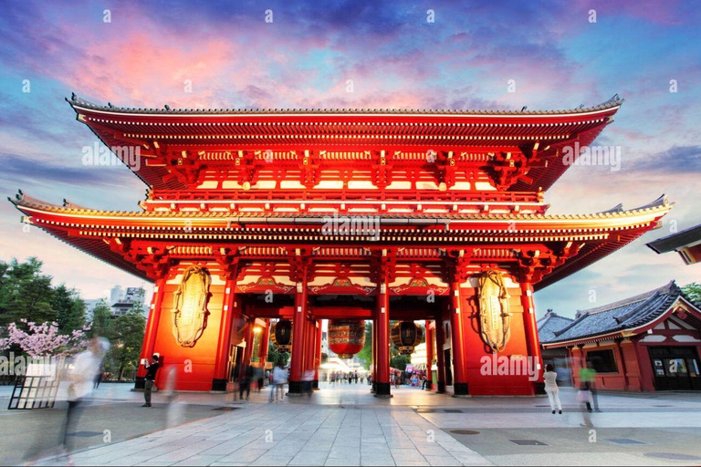 Tokyo: Guided City Tour with English guide