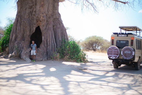 Tanzania: 6-Day Mid-Range Lodge Safari with Meals