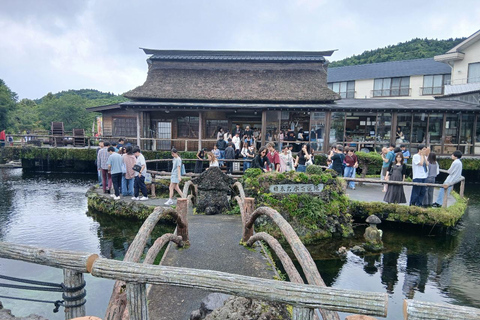 From Tokyo: Mt. Fuji Views Private Customize Itinerary Tour