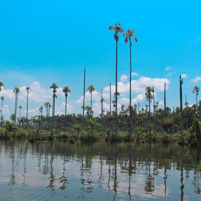 Puerto Maldonado: Lake Yacumama excursion and sunset | GetYourGuide