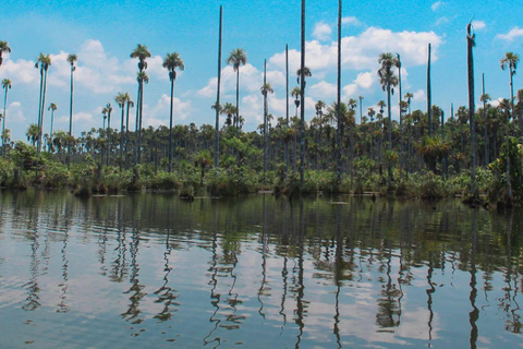 Puerto Maldonado: Lake Yacumama excursion and sunset