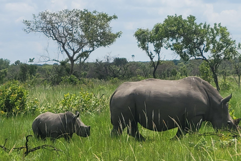 From Kampala: Ziwa Rhino Sanctuary Day Tour with Lunch