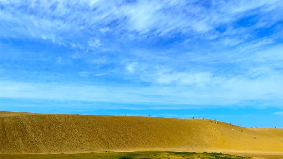 Depuis Osaka : Excursion d'une journée dans les dunes de sable de