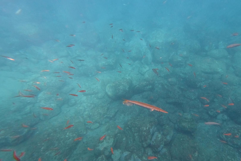 Tenerife: Kayak & Snorkeling Tour - Small Groups