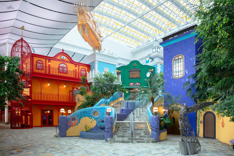 Kyoto/Osaka : visite d&#039;une journée privée au musée Ghibli et au musée Toyota