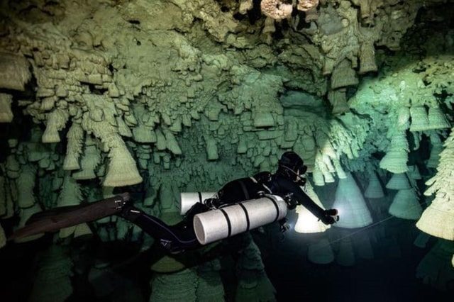 Playa del Carmen: Discover the Depths of Dos Ojos Cenote