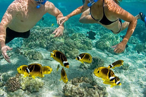 ZANZIBAR: Atemberaubende natürliche Lagune und Seestern-TourZANZIBAR: Wunderschöne natürliche Lagune und Seestern-Tour