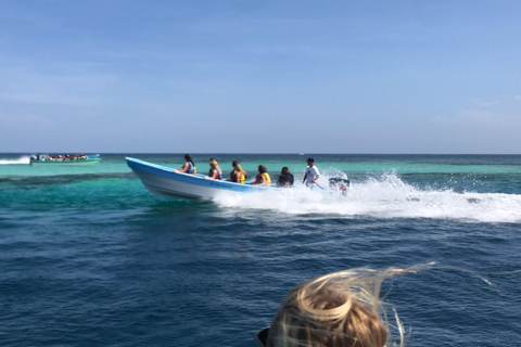 Puerto Plata: Full-day trip to Cayo Arena and Punta Rucia