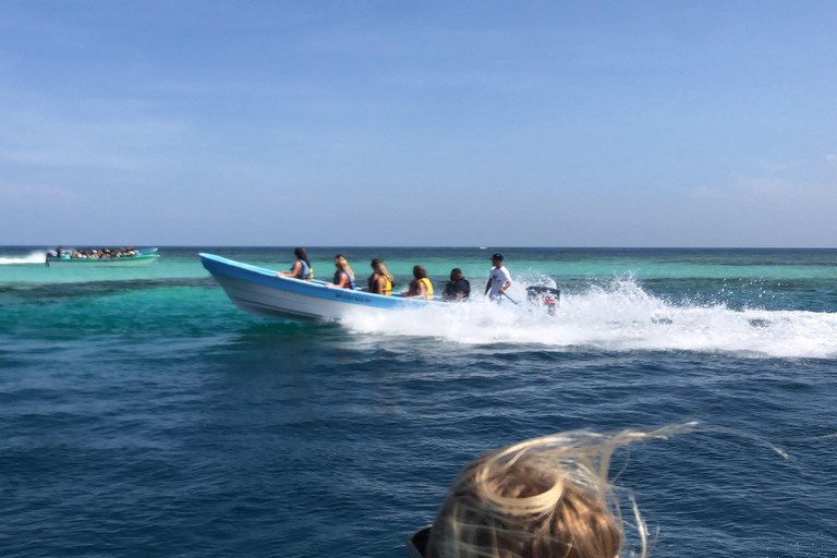 Puerto Plata: Full-day trip to Cayo Arena and Punta Rucia