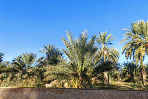 Djerba: Eine Nacht in Berberzelten.