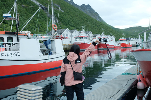 Dagtrip naar het eiland Senja met Chinese en Engelse gids