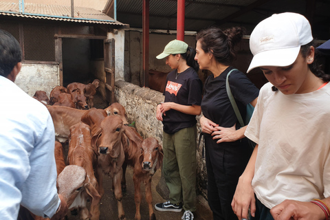 Visite guidée à vélo des sites incontournables et des trésors cachés de MumbaiVisite guidée en groupe à vélo des sites incontournables de Mumbai