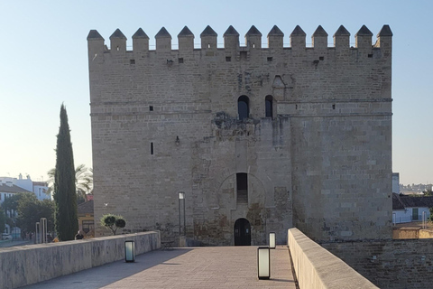 Córdoba Midochtend Wandeling - Kleine Groep, Lekker in NLs!