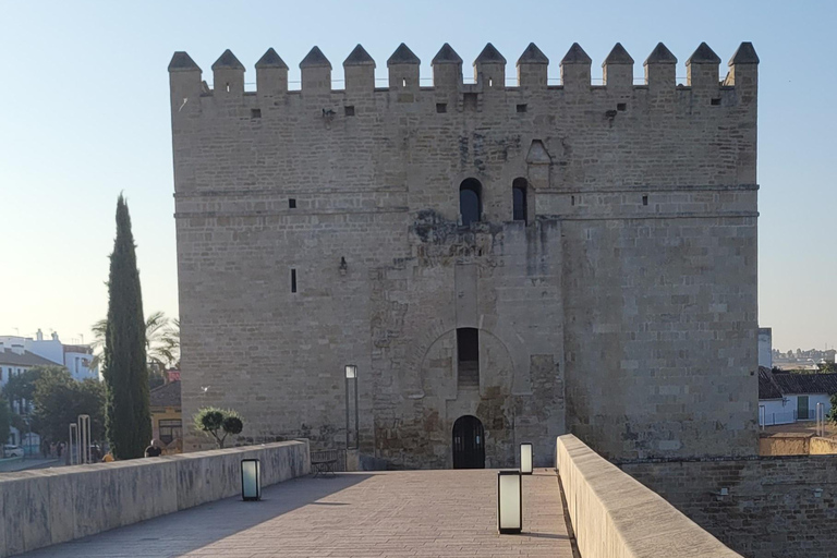 Córdoba Midochtend Wandeling - Kleine Groep, Lekker in NLs!