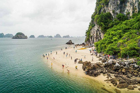 Discover Halong Bay with 5-star Leona Cruise Day Tour Pick up from Hanoi by Dcar Limousine