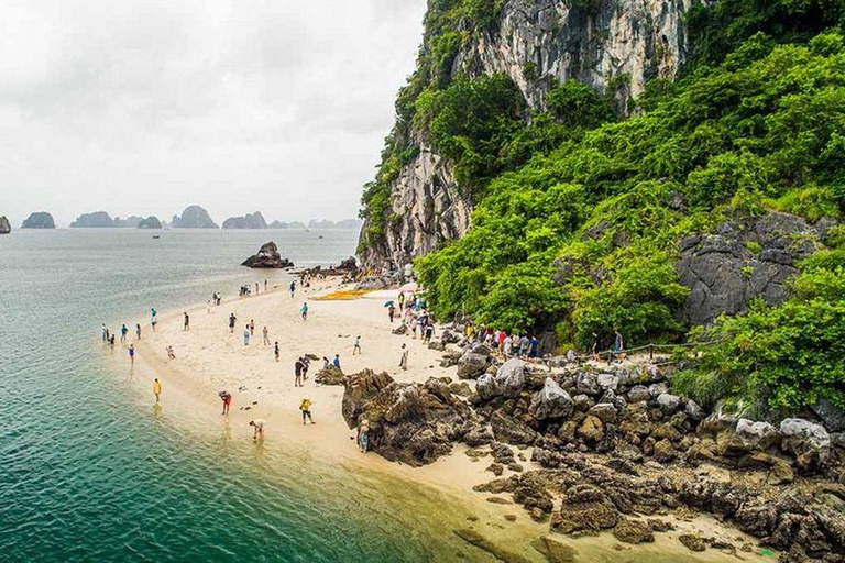 Discover Halong Bay with 5-star Leona Cruise Day Tour Pick up from Hanoi by Dcar Limousine