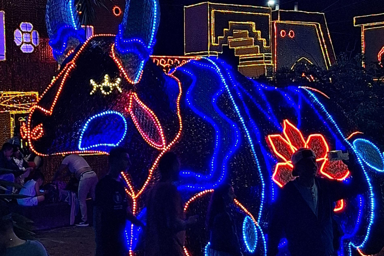 Medellín: Christmas Lights Sightseeing Tour with Envigado, 5 hours Medellín: Shared Christmas Lights Sightseeing Tour with Envigado, 5 hours