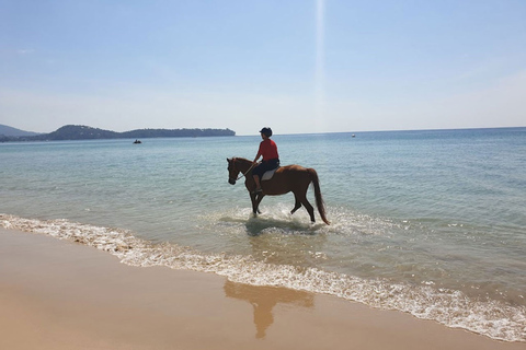 Activité d'équitation sur la plage à Phuket