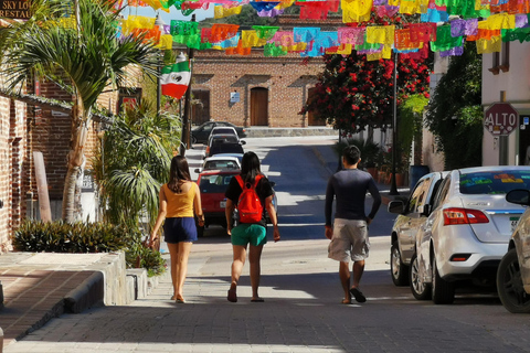 Visita a la ciudad de Todos Santos