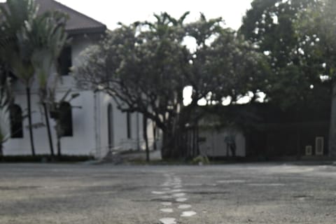 Manila: Rizal Park & the Birth of Philippine Freedom - Image 2