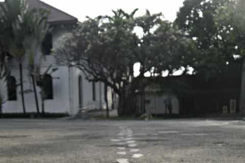 Manila: Rizal Park & the Birth of Philippine Freedom - Image 3