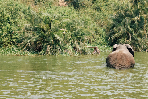 Kampala: 3-Day Queen Elizabeth National Park Safari Tour